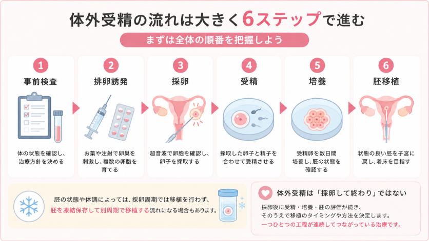 体外受精の流れ