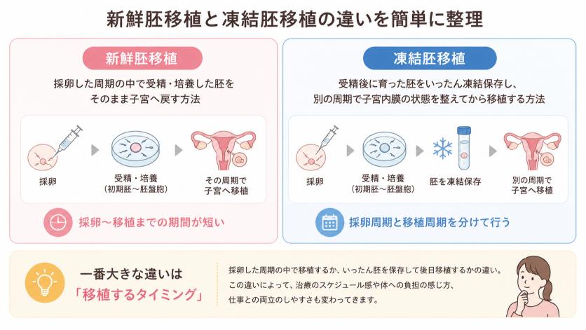 新鮮胚移植と凍結胚移植の違い